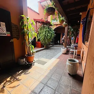 Un En La Antigua